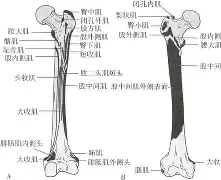 金年会共享体育平台-包含膝m(铚0勸轍富?磶+???馲?埰%?(曫虁醺V$泿扽鑏誄妰??♂に訮b?!?哎b?)噪6?杚虖?靽C⒗€楫ZDK$V|榙釡9A乃?[?飦F沶胺尟詶-金年会共享体育平台